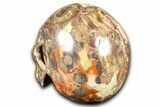 Bird's Eye Jasper (Rhyolite) Skull - Mexico #382131-3